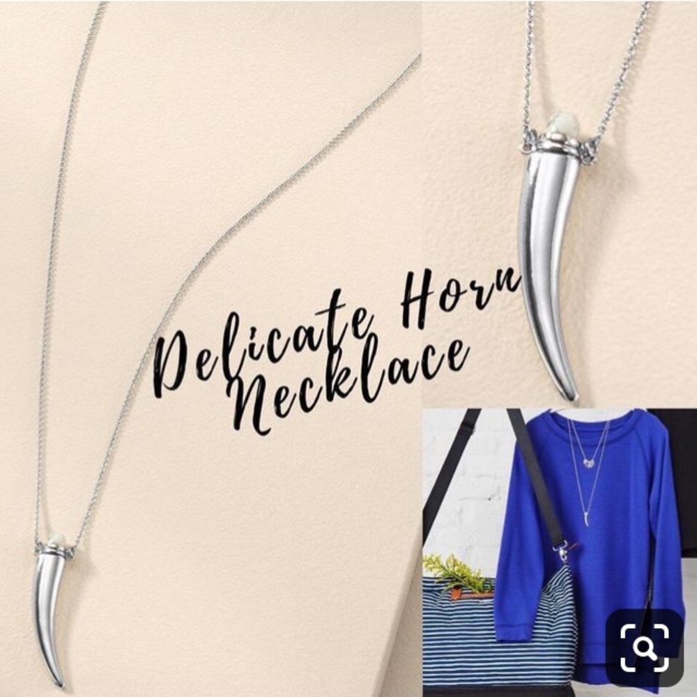Stella & Dot Delicate Horn Necklace